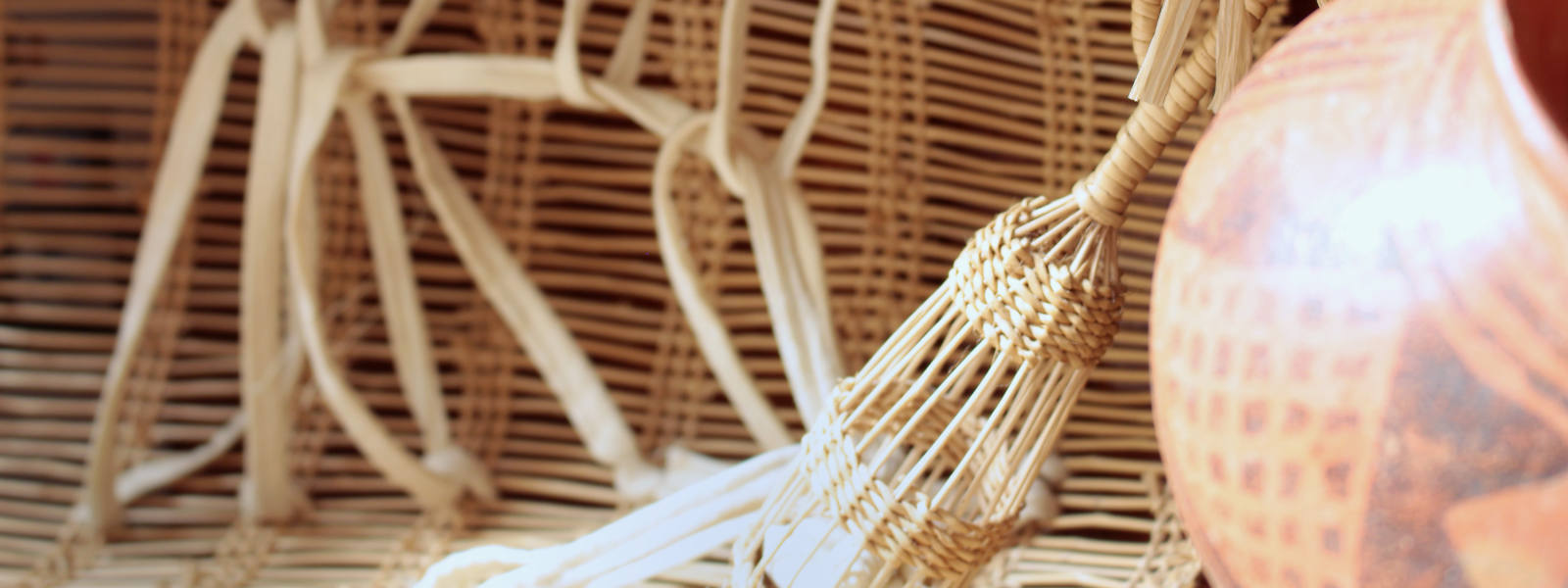 Photo of American Indian Baskets in a display case